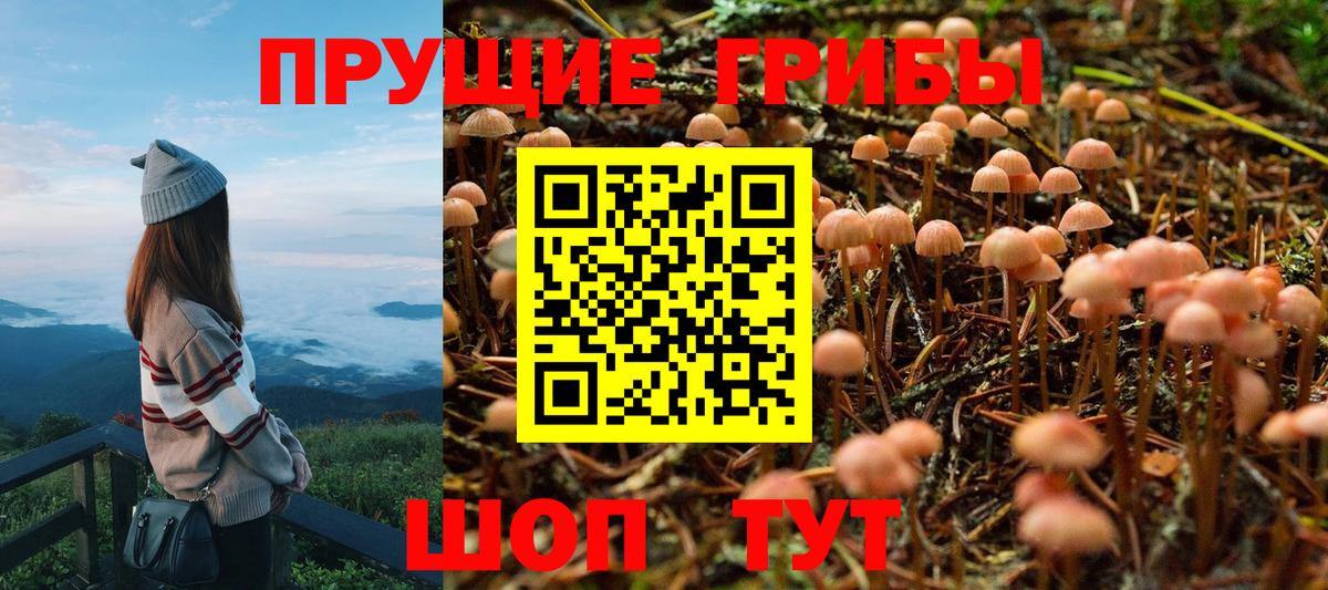 Псилоцибиновые грибы мухоморы Куйбышев