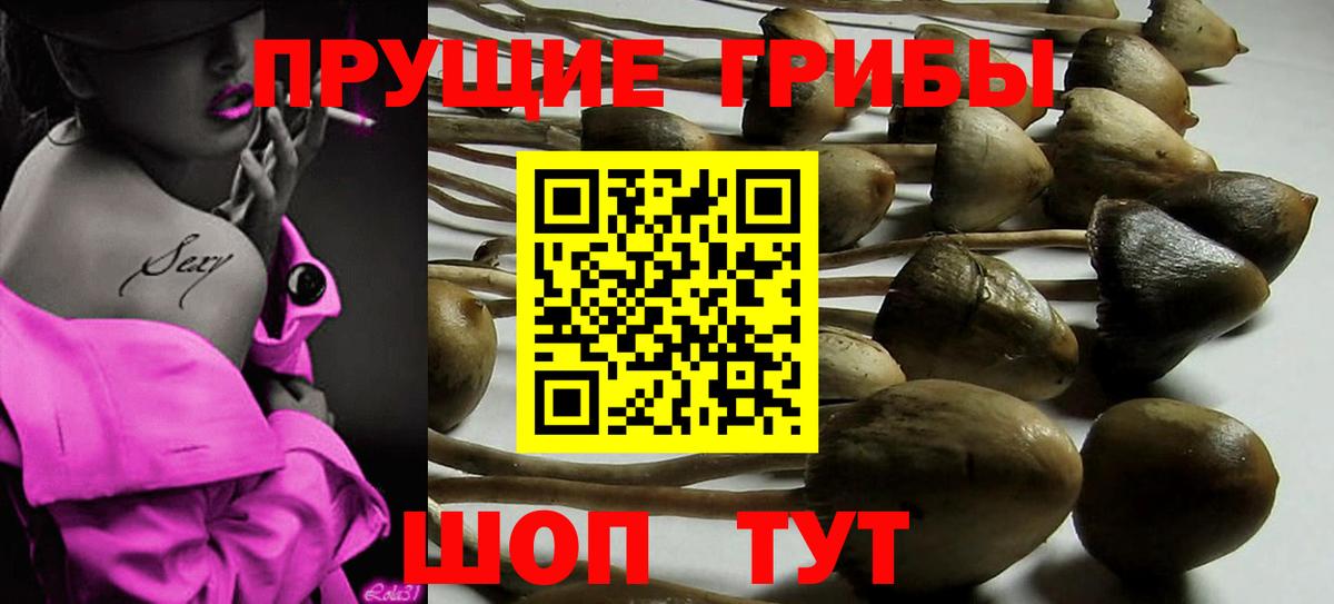 Галлюциногенные грибы мухоморы  Галлюциногенные грибы ЛСД  где купить наркотик  Вход с VPN  Куйбышев 